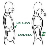 Como fazer respiração abdominal